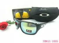 acheter sunglasses oakley 2013 lentille beau oakley good-9082